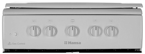Газовая плита Hansa FCGW510009